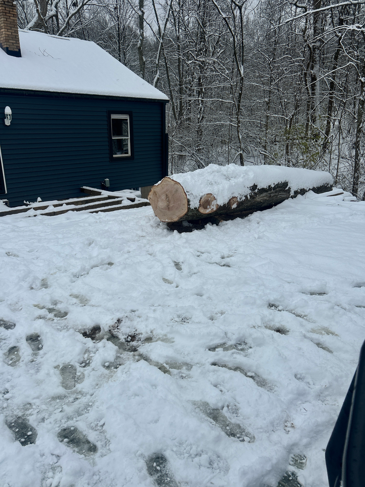 All Photos for Terra Steel Creations in Independence, KY