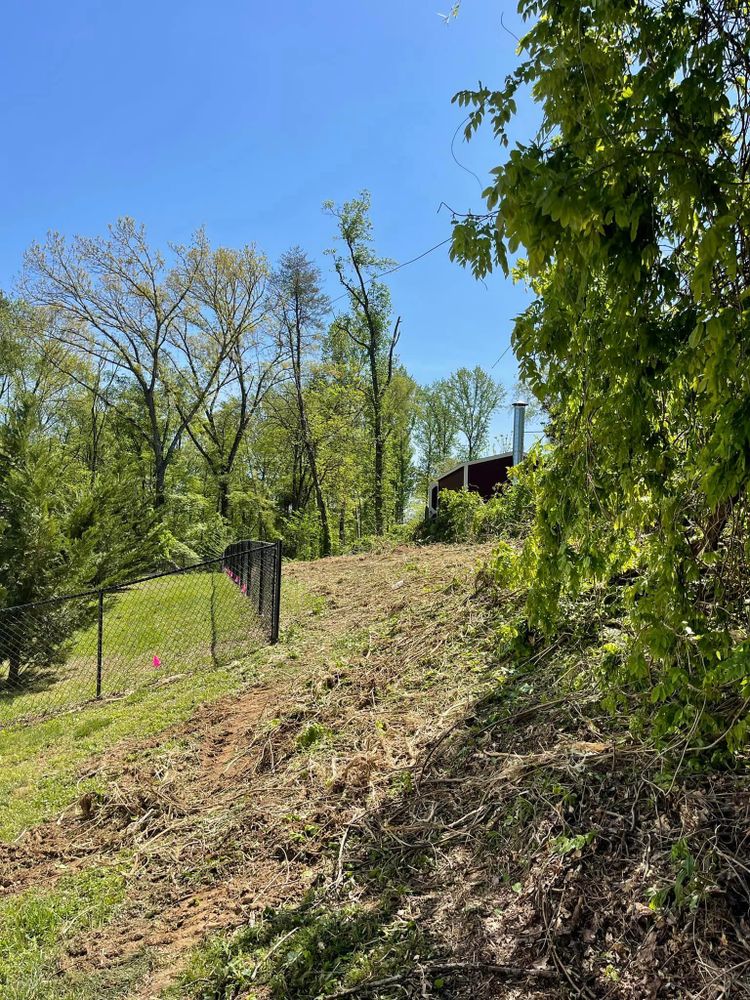 All Photos for Lucky’s Tree Removal and Landscape Services in Knoxville, TN