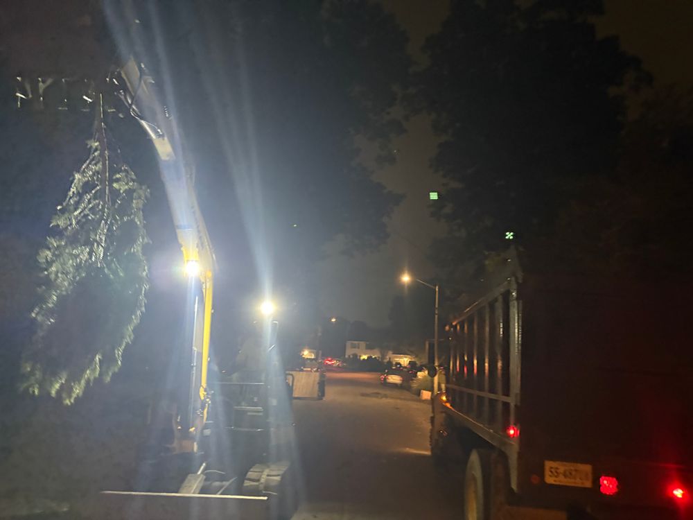 All Photos for Tidewater Tree Service in Chesapeake, VA