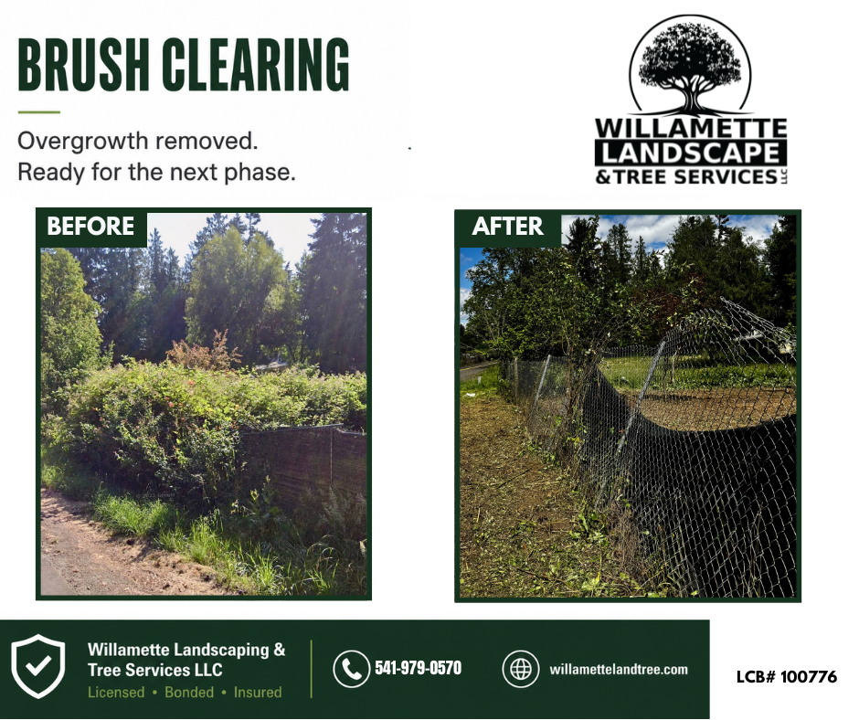 All Photos for Willamette Landscaping & Tree Services in Albany, OR
