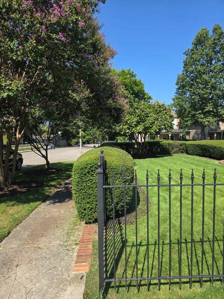 All Photos for Sanchez Z. Landscaping in Memphis, TN