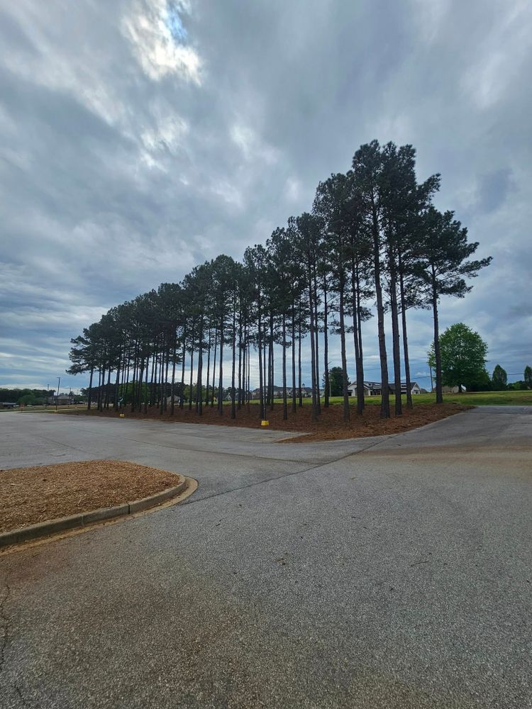 24/7 Storm Response for Sasquatch Tree Services LLC in Spartanburg, SC