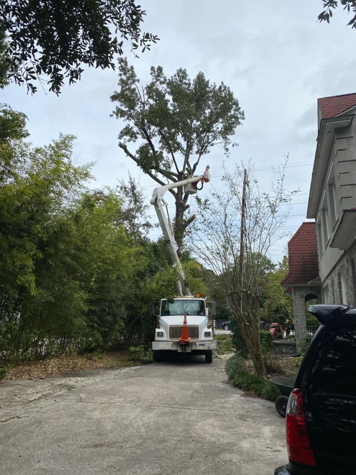 Tree Removal for Coastal Tree & Stump in Charleston, SC