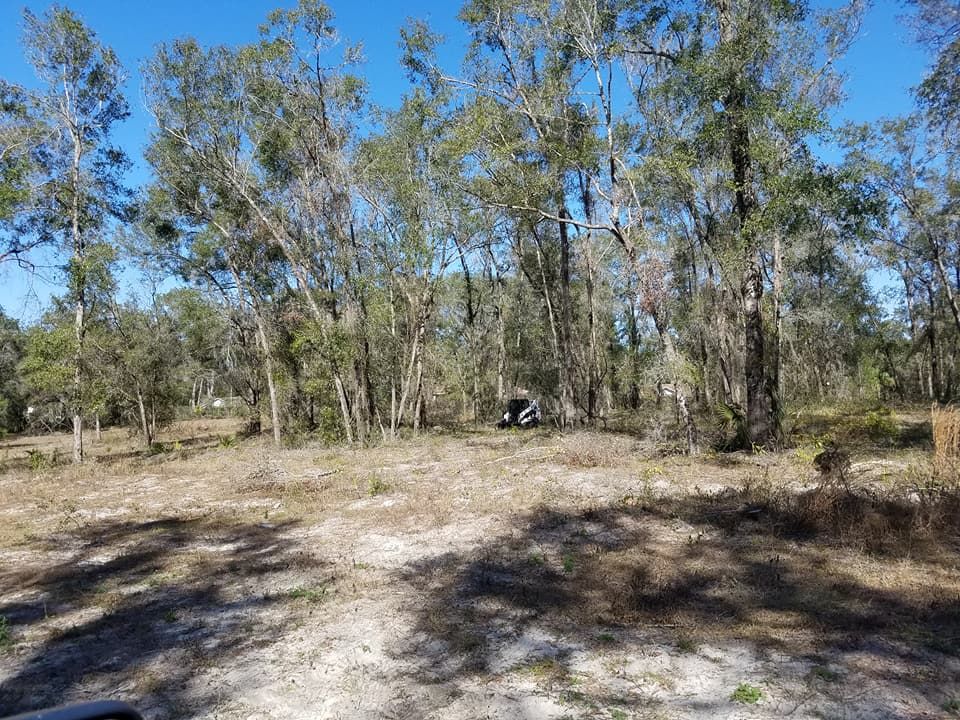 All Photos for Daniel Hickey’s Tree Service in DeLand, FL