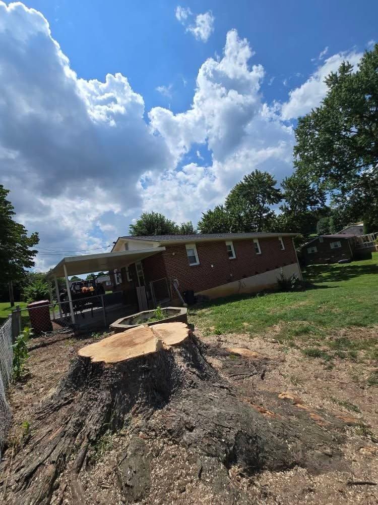 All Photos for M&L Lumber and Excavating in Jonesborough, TN