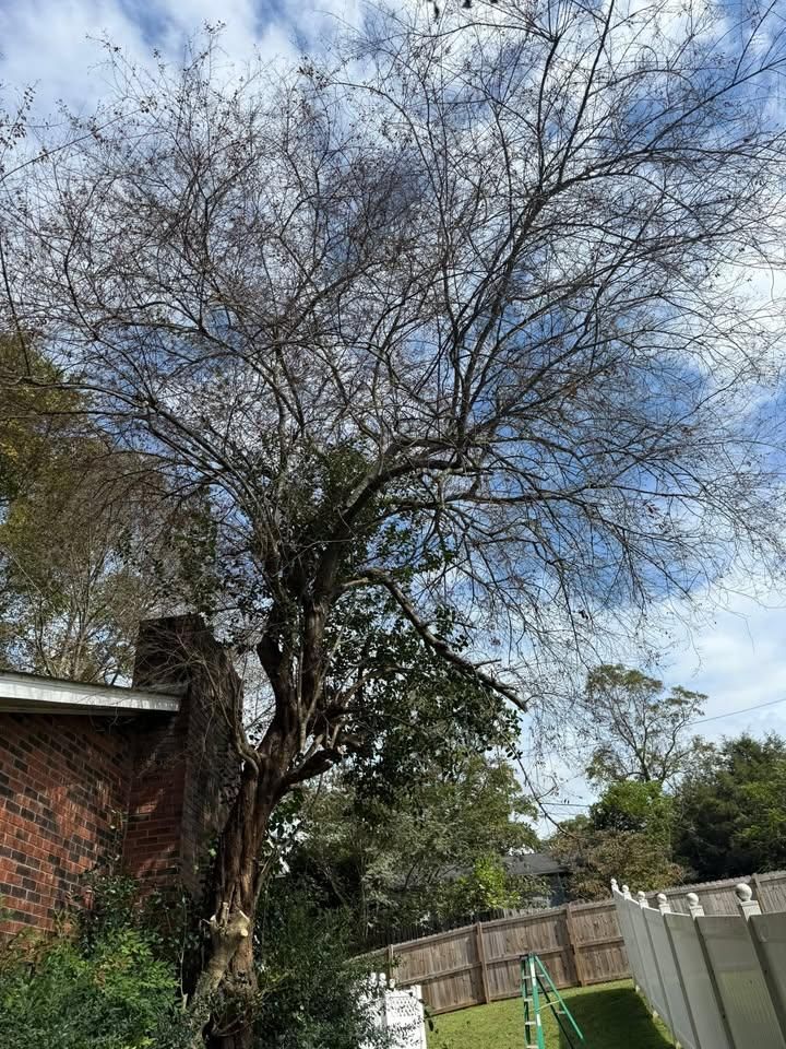 All Photos for Down South Tree Care and Landscaping in Maiden, NC