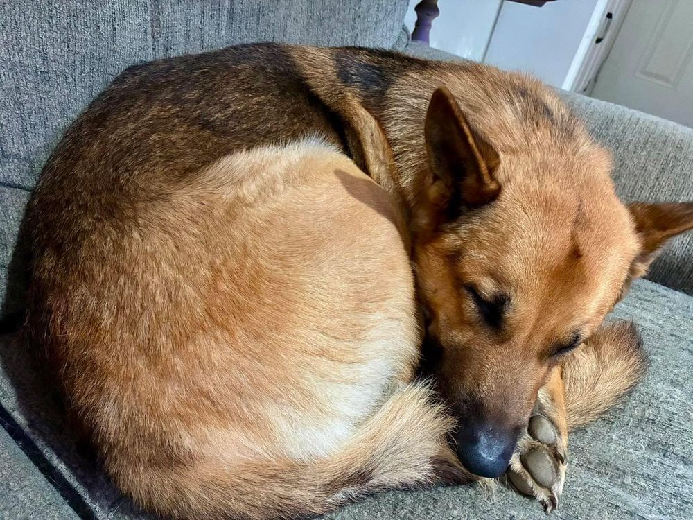 All Photos for Josue’s Mobile Detailing in Enterprise, AL