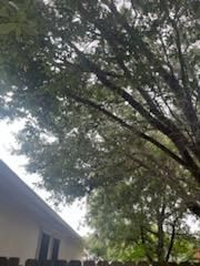 All Photos for Oviedo Land & Garden in Bastrop, TX