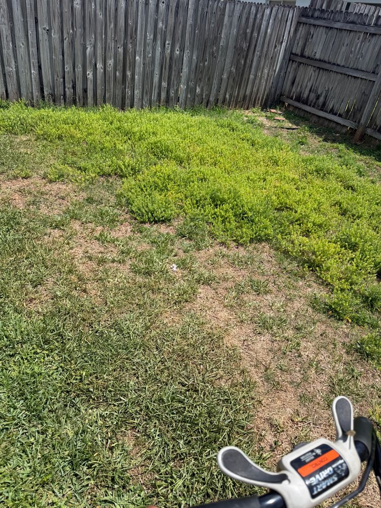 All Photos for The Yardman in Tampa, FL