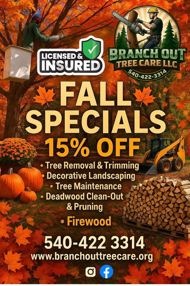 All Photos for Branch Out Tree Care LLC in Fredericksburg, VA