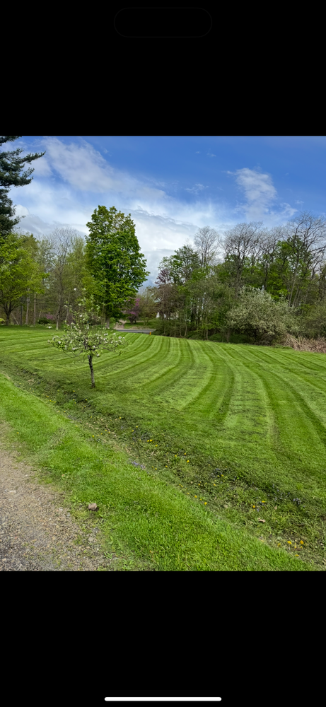 Transform your lawn with our professional mowing service, ensuring a pristine and well-maintained appearance. Our team delivers precision cuts, enhancing your landscape’s beauty and boosting curb appeal effortlessly. for Harpers Landscaping in Fredonia, NY