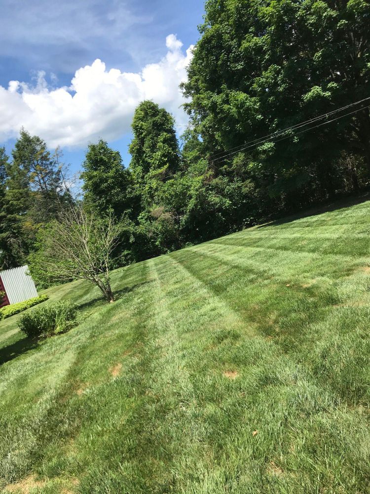 Lawn Care for CS Property Maintenance in Middlebury, CT