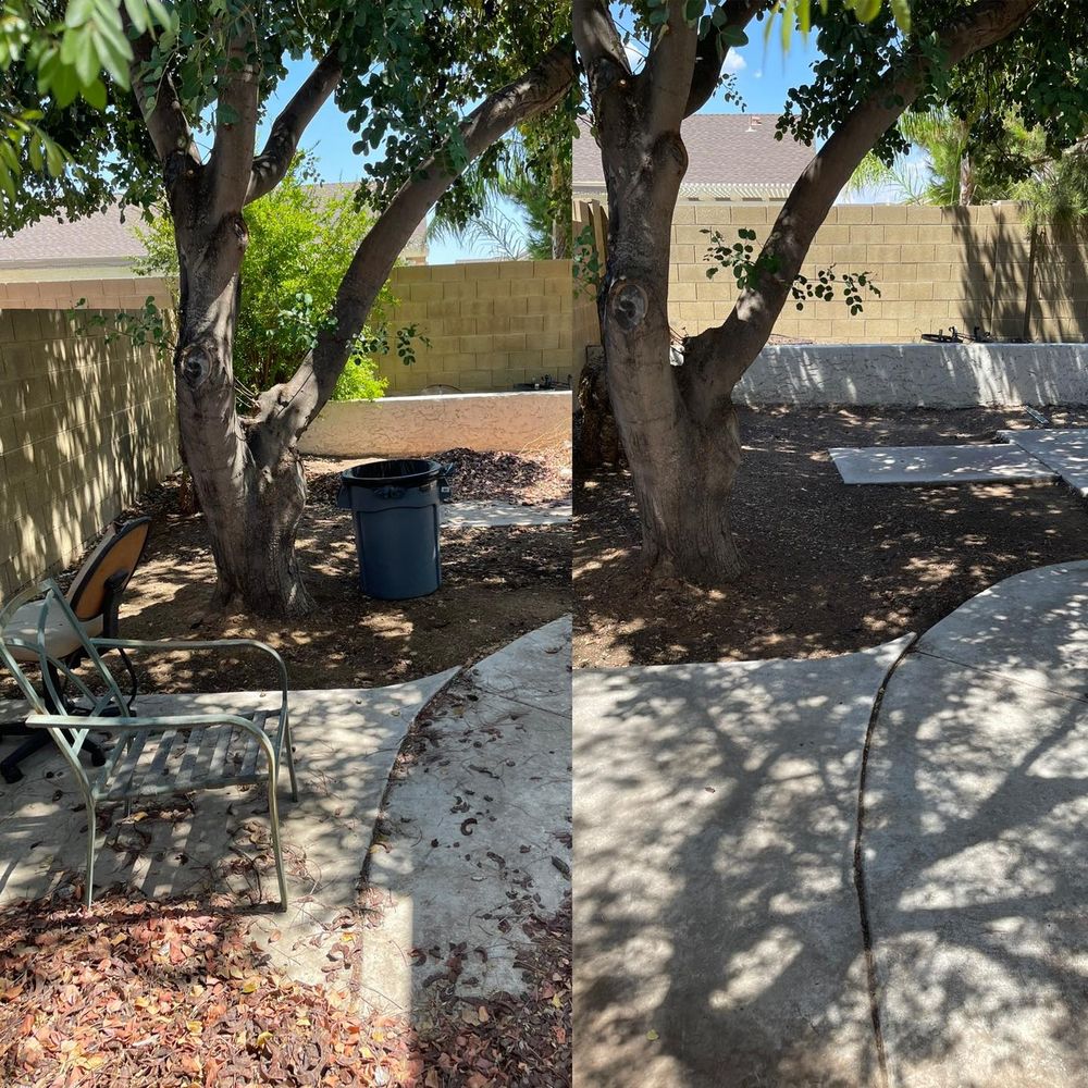 Landscaping for American Dream Landscape Company in Surprise, AZ