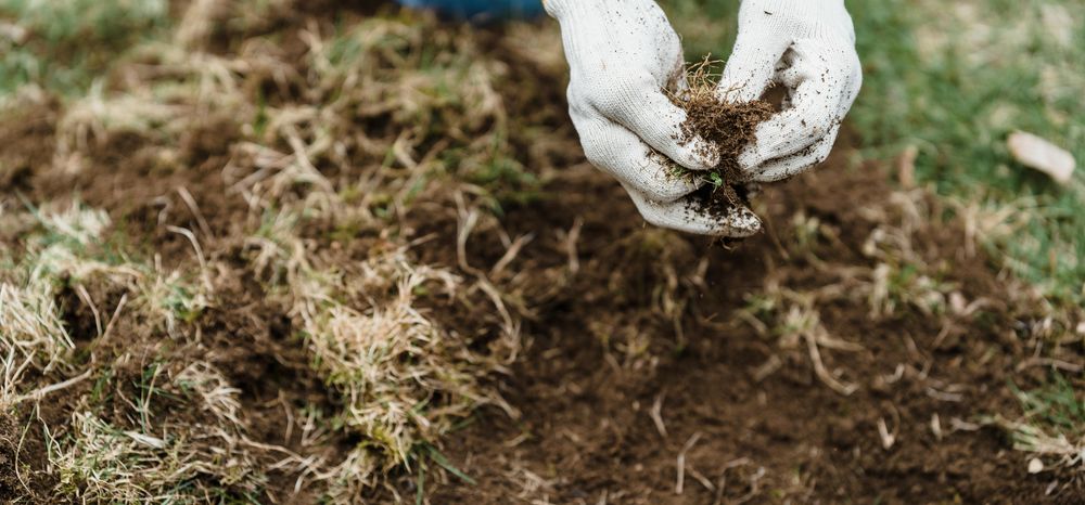 All Photos for Drake Lawn Care in Atlanta, GA