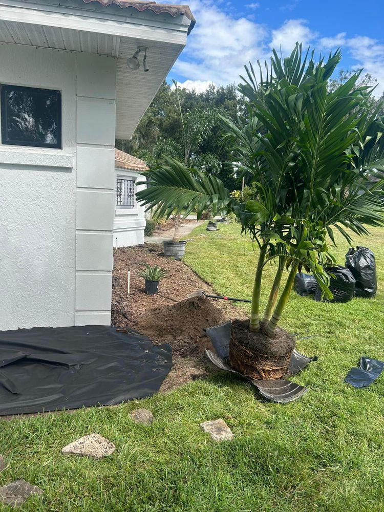 All Photos for Estrada All Pro Lawn Service in Auburndale, Florida