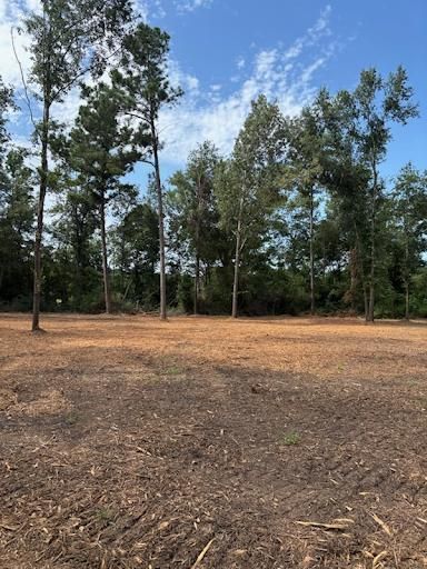 All Photos for JM Services in Woodville, TX