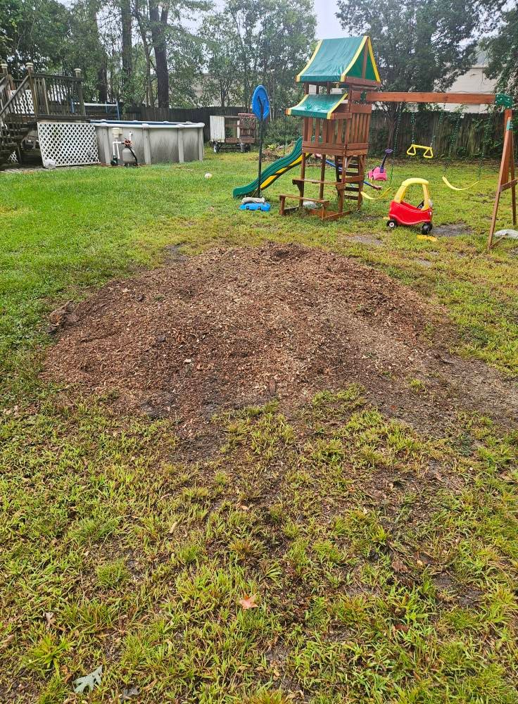 All Photos for Anchor & Grind Stump in Chesapeake, VA