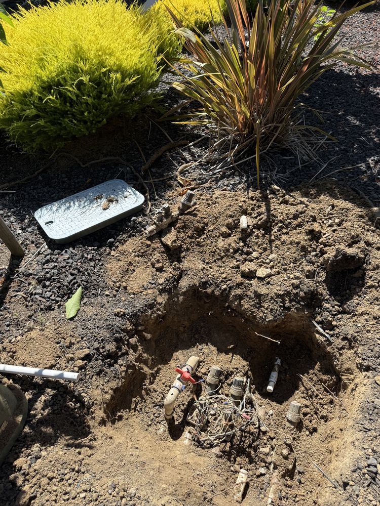 All Photos for CBA Landscaping in Hayward, CA