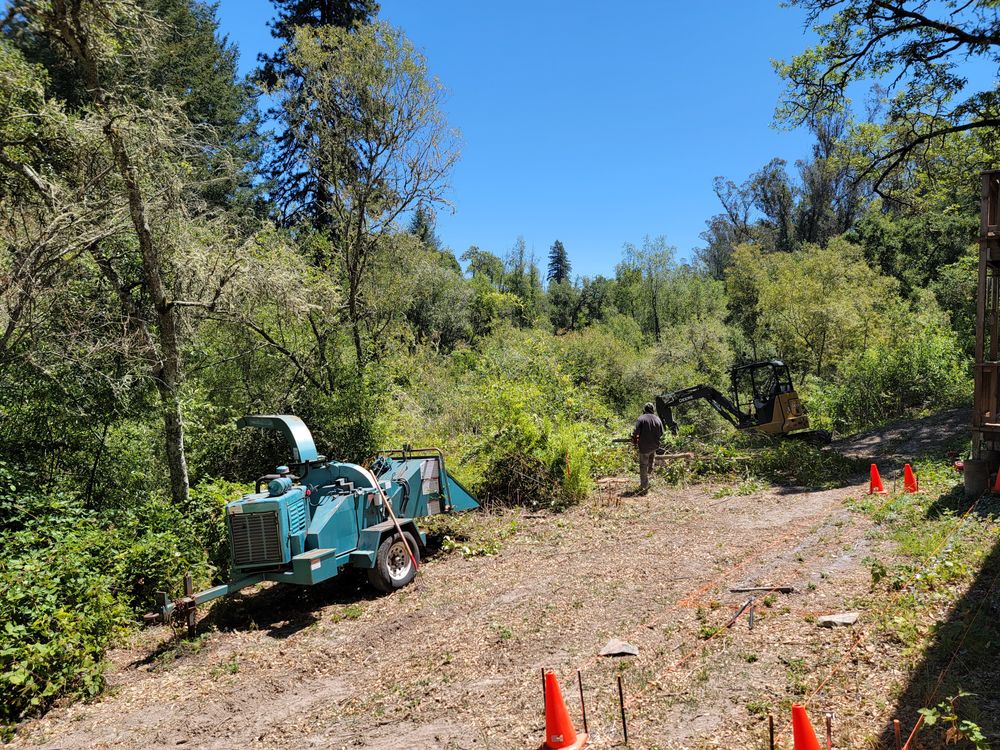 All Photos for Ren Levine Construction in Novato, CA