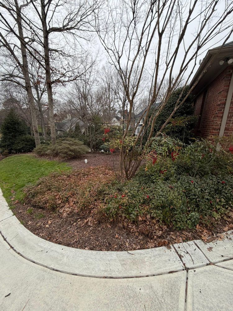 All Photos for Done2Day LLC in Wake Forest, NC