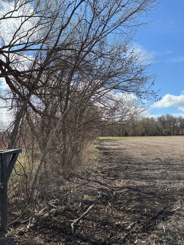 All Photos for Root Land Management in Watkins, MN