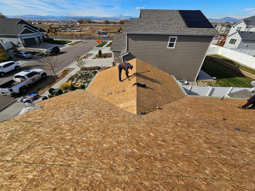 All Photos for Distinctive Home Renovations in Longmont, CO