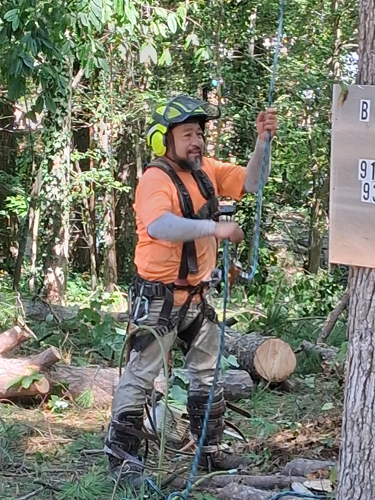 All Photos for Country Cutters Tree Service in Prince George, VA