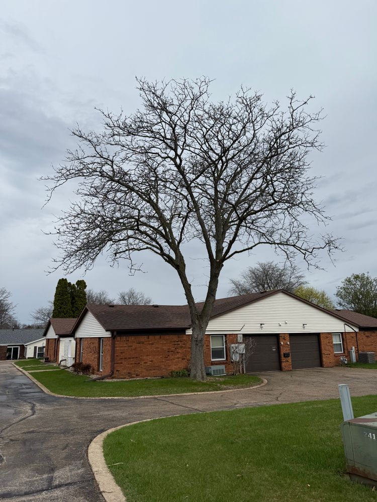 All Photos for Fransen's Tree Service  in Freeport, IL