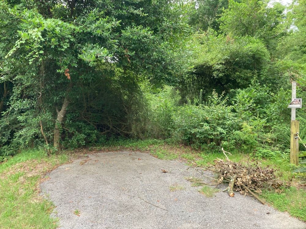 Land clearing for CW Earthworks, LLC in Charleston, South Carolina