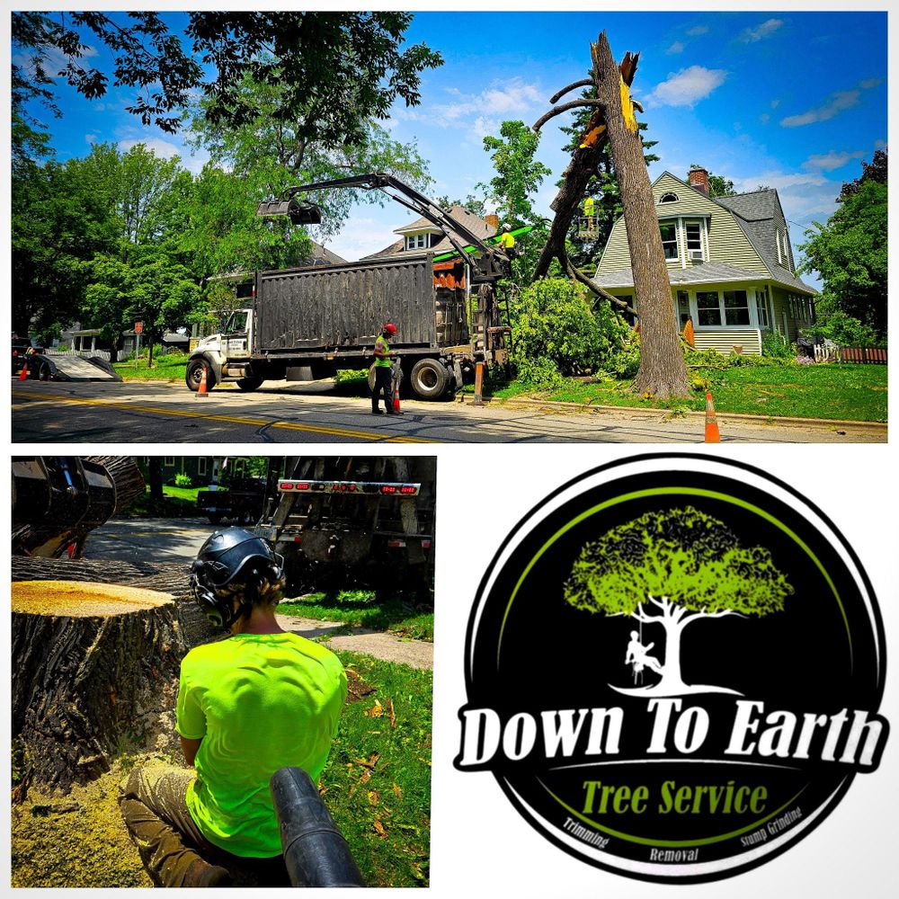 All Photos for Down To Earth Tree Service in Red Wing, MN