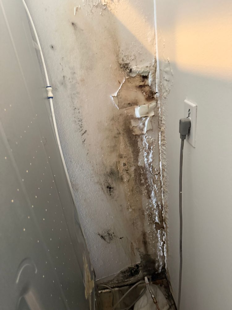 All Photos for Titan Remediation Industries in West Palm Beach, FL