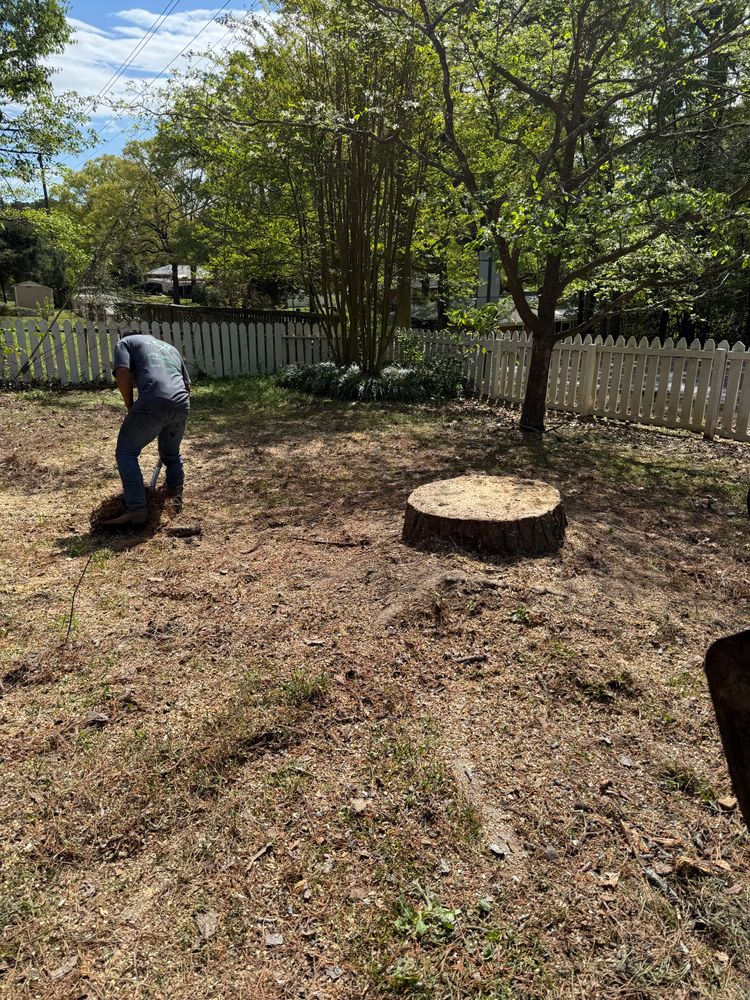 All Photos for T N L - Tree and Land Service in Reynolds, GA