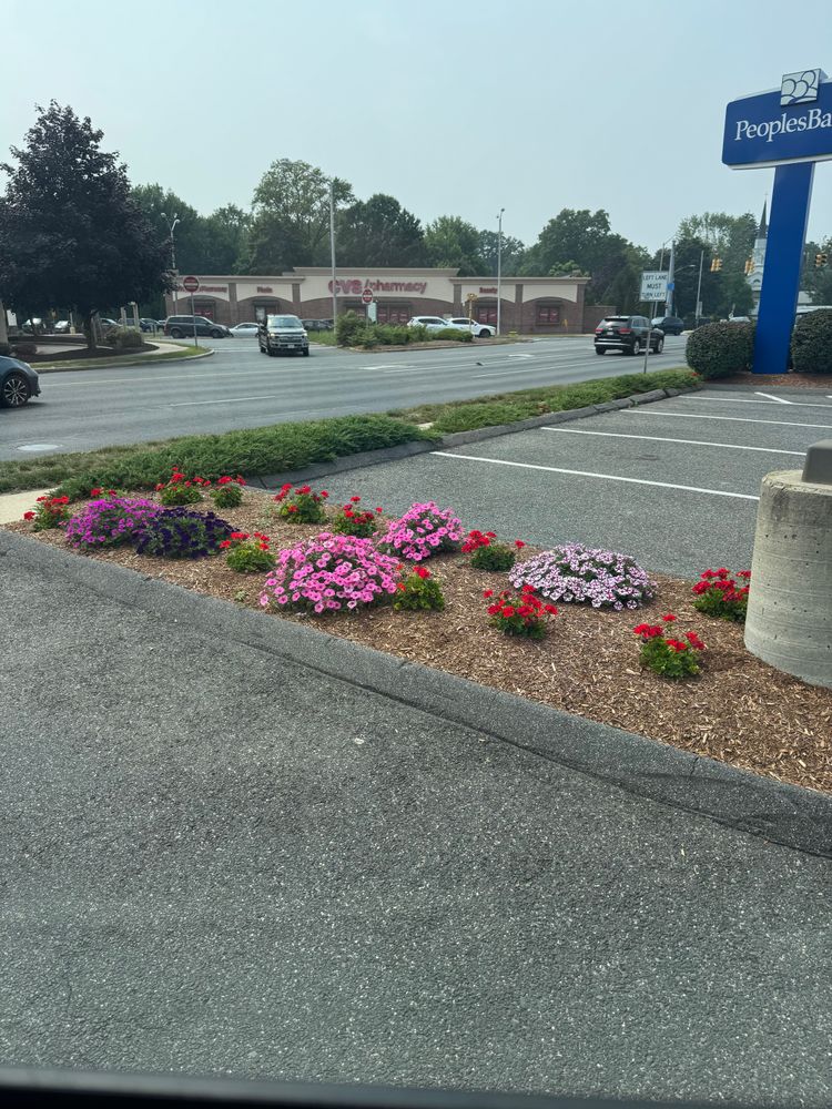 All Photos for Adams Landscaping in Springfield, MA