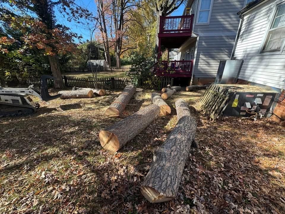 All Photos for Pedro's Tree Removal in Charlotte, NC