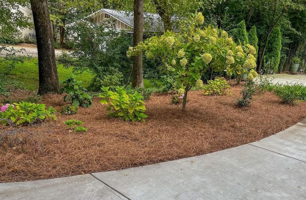 All Photos for Drake Lawn Care in Atlanta, GA