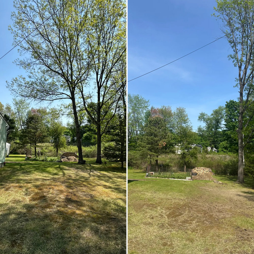All Photos for Leaf and Limb in Townsend, MA