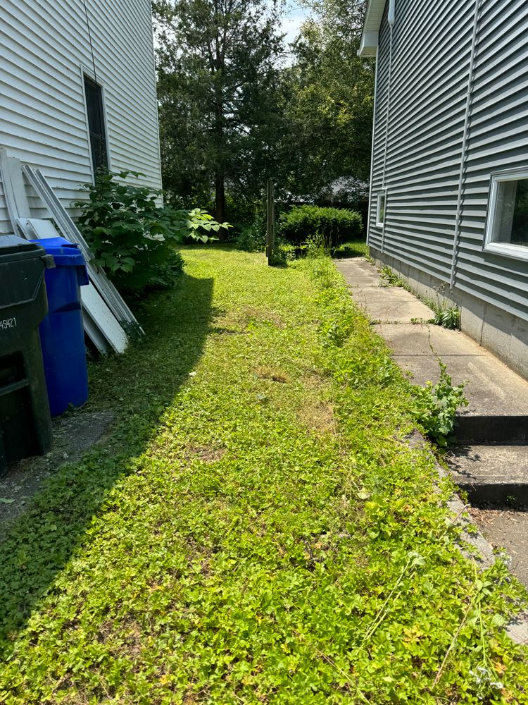 All Photos for Adams Landscaping in Springfield, MA