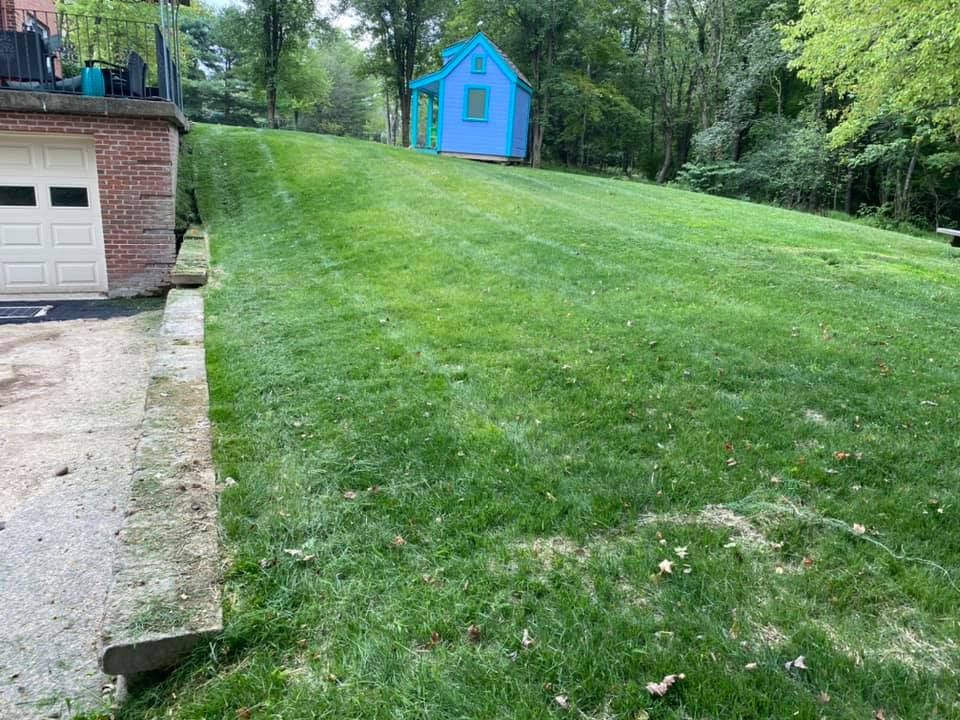 Our professional mowing service ensures a pristine lawn with expert care and attention to detail, enhancing your home's curb appeal while saving you time and effort with regular maintenance schedules tailored to your needs. for The X Lawncare and Landscaping in Valencia, PA