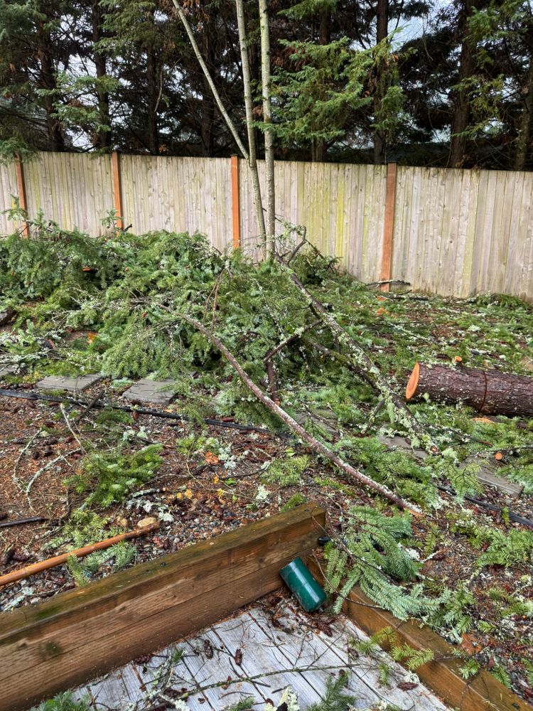 All Photos for Tony's Remodeling & Painting in Renton, WA