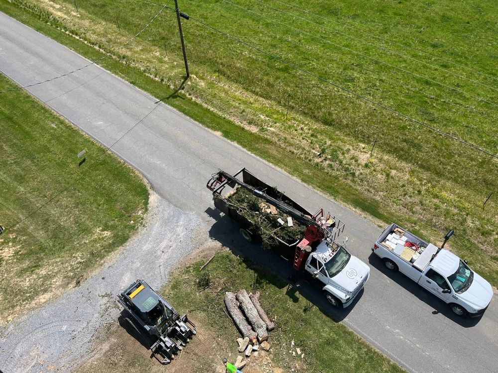 Tree Removal for Big Rock Tree Removal LLC in Boaz, AL