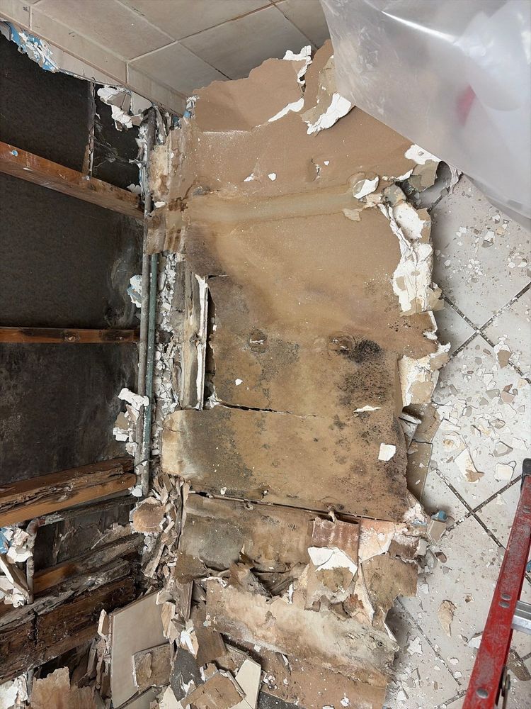 All Photos for ACM Environmental in Salt Lake City, UT