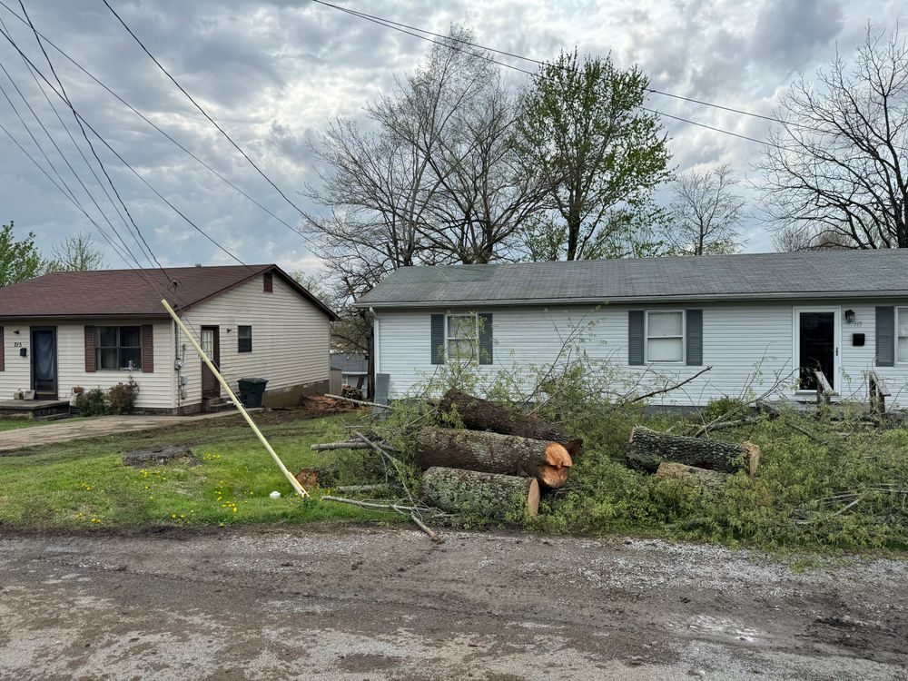 All Photos for Curtis Tree Service LLC in Hopkins County, KY