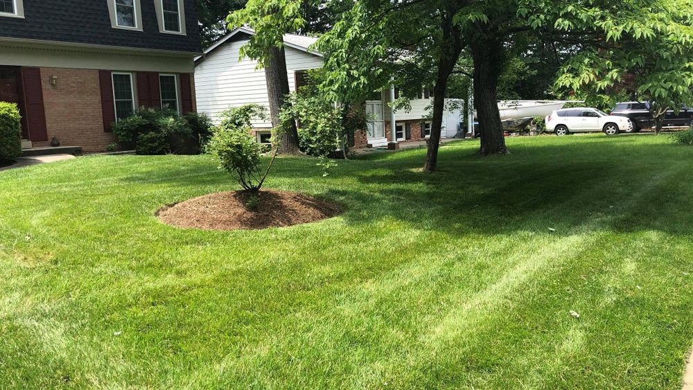 All Photos for Ace Landscaping in Trumbull, CT