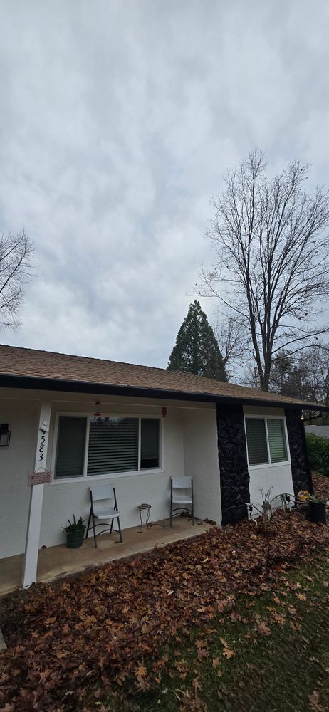 All Photos for George Staddan's Professional Tree Care in Placerville, CA