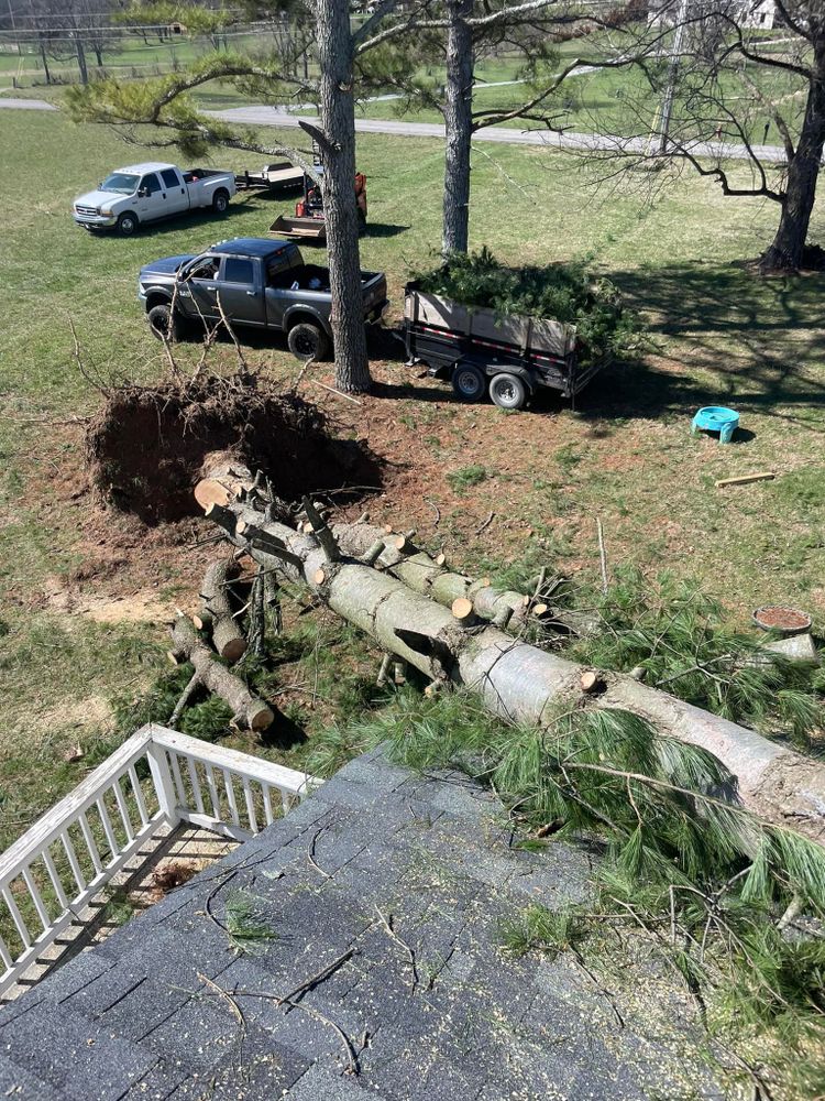 Our Tree Removal service offers safe, efficient removal of unwanted trees, protecting your property and enhancing space for construction or landscaping projects. Trust our experts for a seamless transformation. for JDI Customs in Nashville, TN