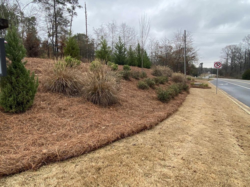 All Photos for Deeply Rooted Lawns – Hydroseeding & Sod Installation Services in Winder, GA