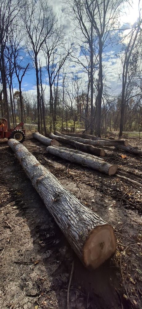 All Photos for God's Country Timber Management in Hillsdale, MI