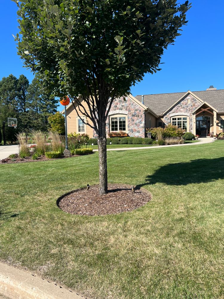 Lawn Care for Trim Seasonal Services in Milwaukee, WI