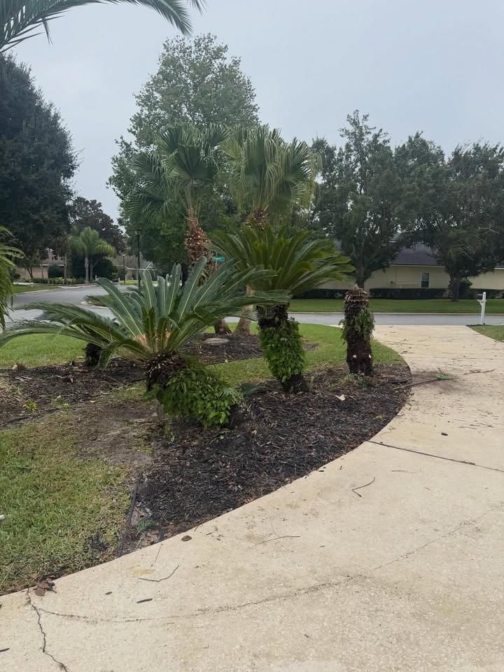 All Photos for Whole 9 Yards Services in Green Cove Springs, FL