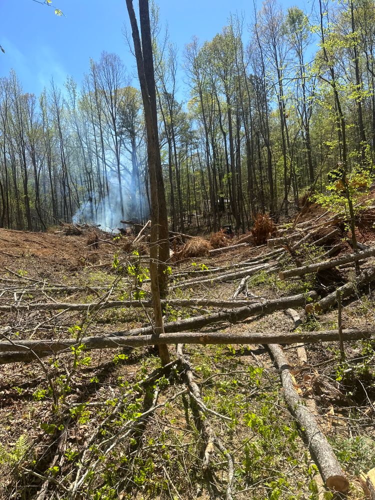 All Photos for A.P Land Management in Atlanta, Ga